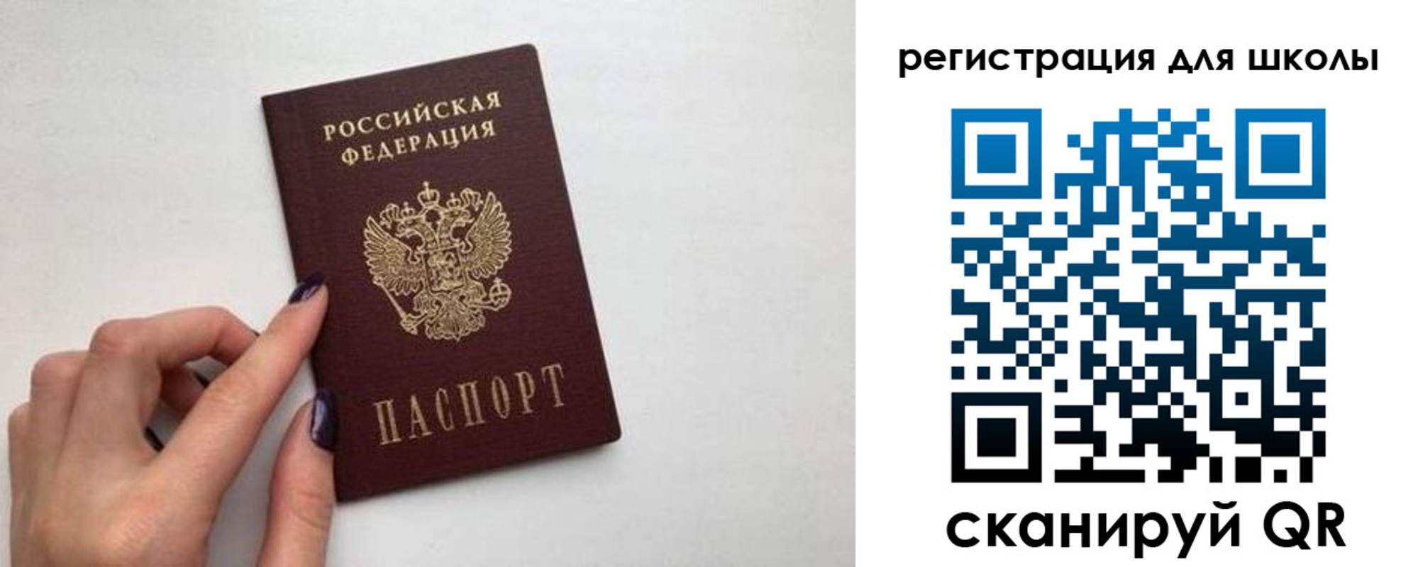 прописка поиск в Струнино